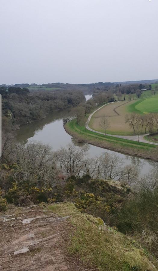 La Halte De La Vilaine Sainte-Anne-sur-Vilaine Bagian luar foto